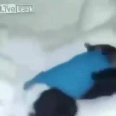 A day in the life of a persona fan