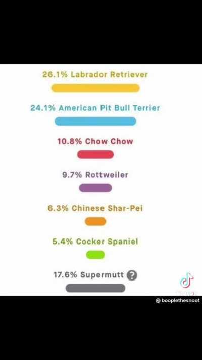 Please Be Careful with your Dogs