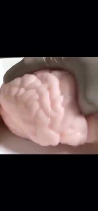 20 minutes into Tenet and chill and Daddy Nolan starts doing this