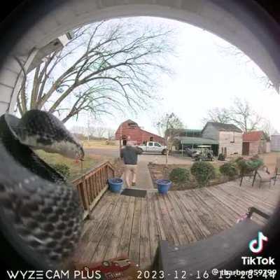 I would've stopped breathing. What would you have done?