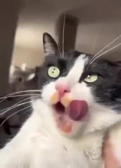 The evidence is there