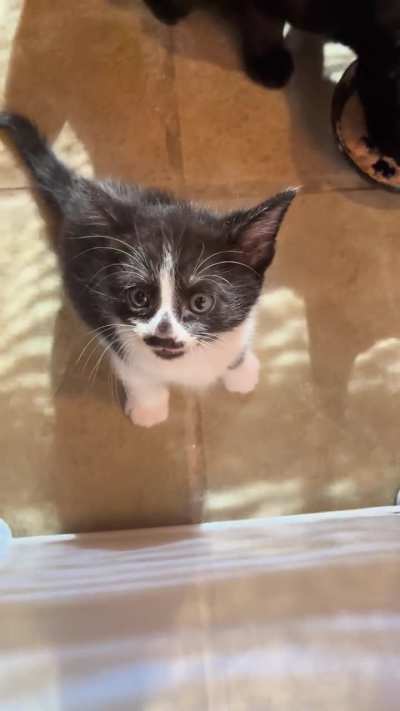 He would like to be released