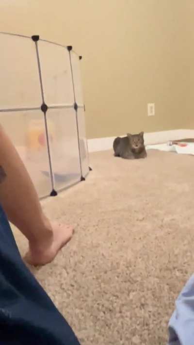 Not excited to be a big brother