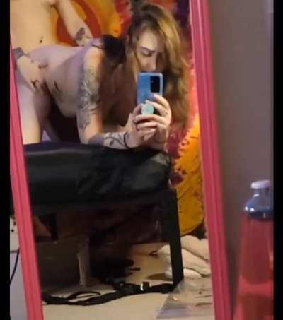 Woof woof in the mirror