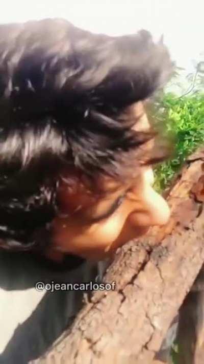 Duvido vc tankar essa kkkk