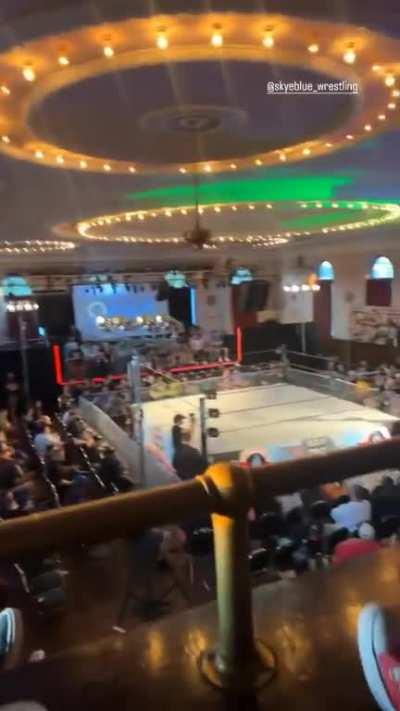 Skye Blue sitting on a ledge 💙