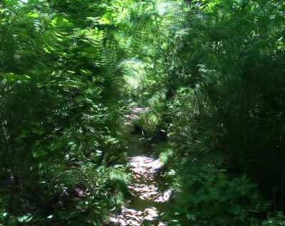 I took the road less traveled