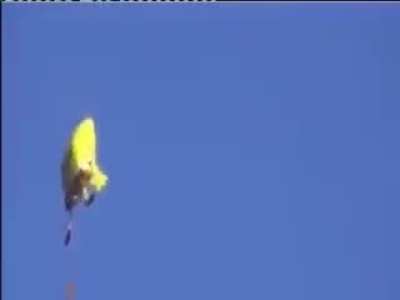 spackfob no don't fly away😥😥😥