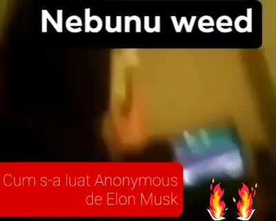 Nebunu Ceanga vs Elon Musc