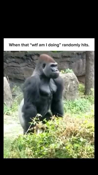 I hit this at least 5 times a day😔