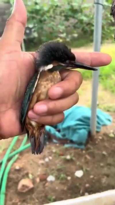 Бфвает и такое...