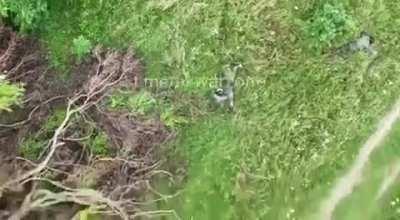 The Russians arrived, looted their deceased comrades, and left; their comrades will remain on foreign soil, and their families will never know where they are.