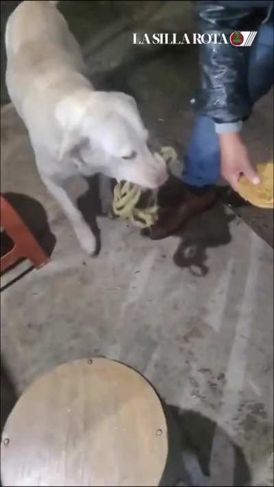 Mi cuñado también lo hacía, pero para conseguir piedras