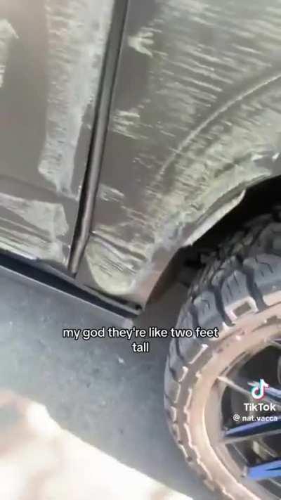 Absolutely unwilling to acknowledge any responsibility for their own vehicle. 