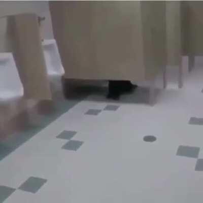 Yo despues de comer en &ldquo;Que Salchicha&rdquo;
