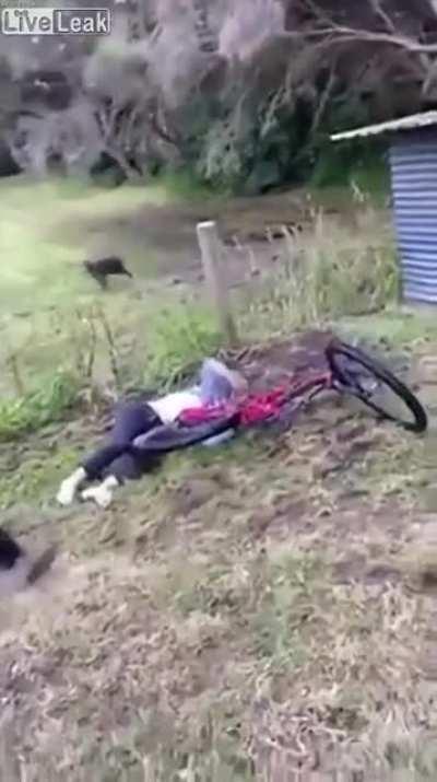 her first and last bike trick