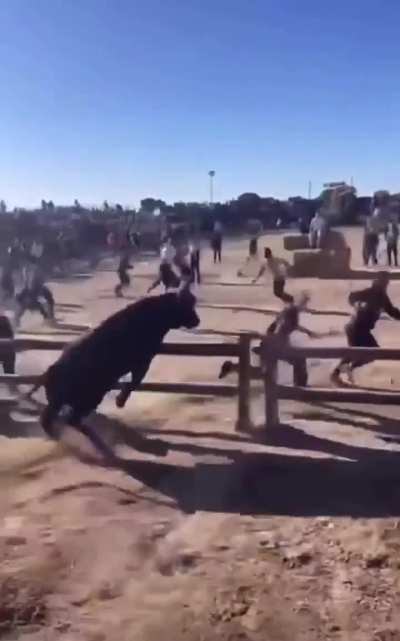 Mess with the bull you get the horns