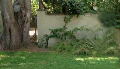 Oh god oh fuck, it’s true- he isn’t real!