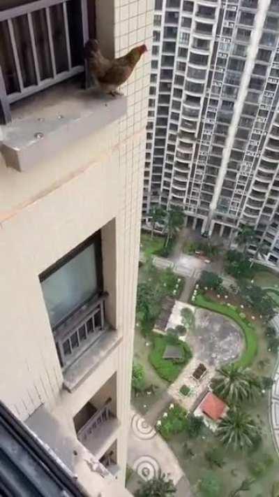 Who tf airdropped me this...