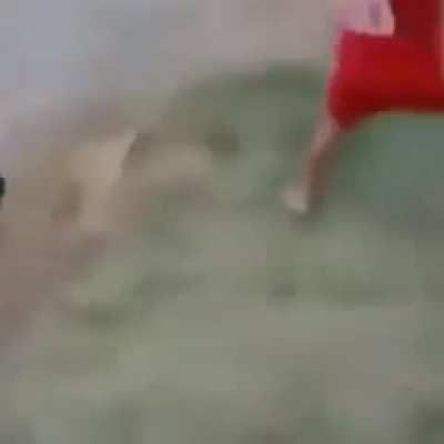 Como que o Inter vai ser vice esse ano?