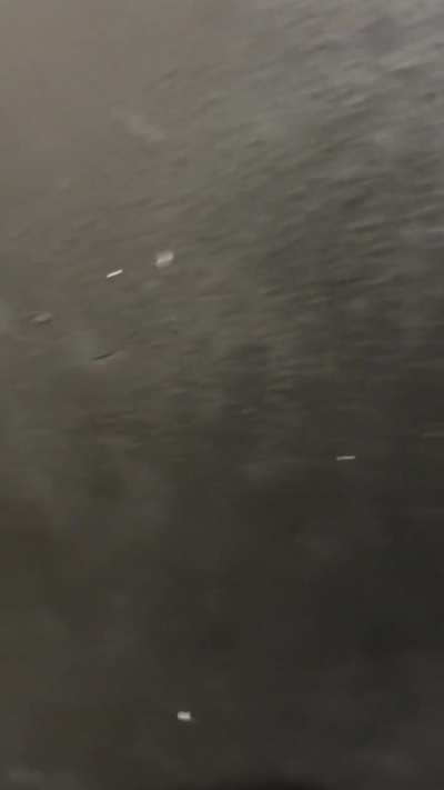 Umm Interference 🤓🤓☝🏽☝🏽