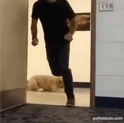 My Dog people need me