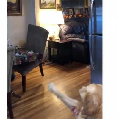 You're a Hairy Wizard