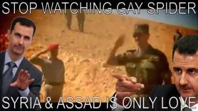 Gay Spider is big dumb dumb 😊😊😊