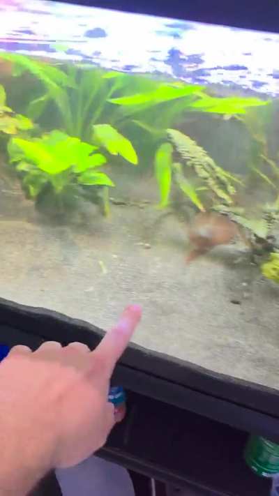 I think mrs potato was sulking today