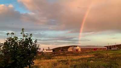 🔥The ever changing view from my deck. North Atlantic Ocean. Middle Cove, Newfoundland.