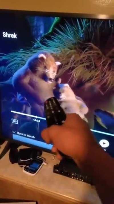 Thanks, I hate this hidden story in Shrek