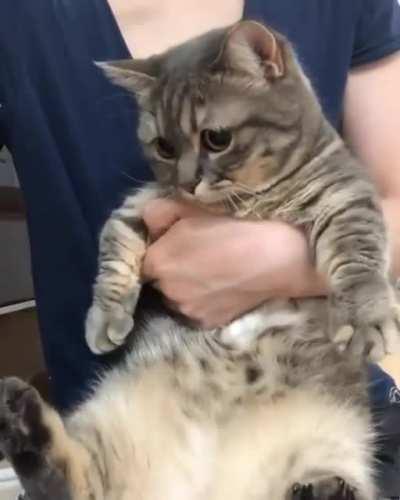 Ok, What i'm looking for