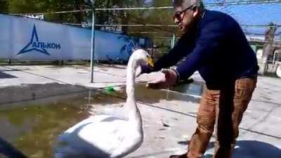 They haven't seen each other since childhood.