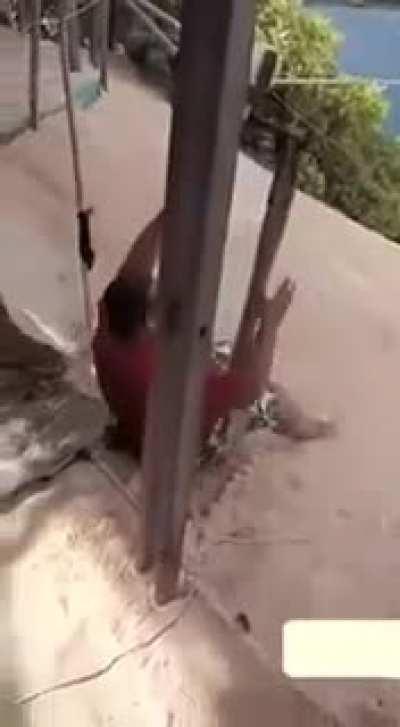 WCGW NOT ADDING A WEIGHT LIMIT.