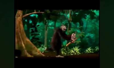 the monkey gets revenge on donkey