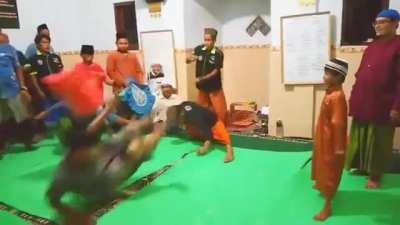 This is the kid that survives Anakin massacre