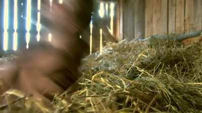 Unholy ground 2017 Brandl prod.