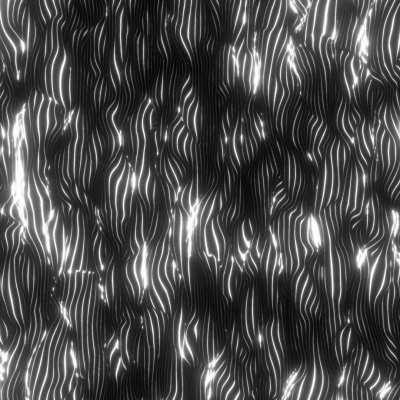 In chordis lucet | 17-10-‎19 | by Xponentialdesign ( new archived output from 07-10-22 )