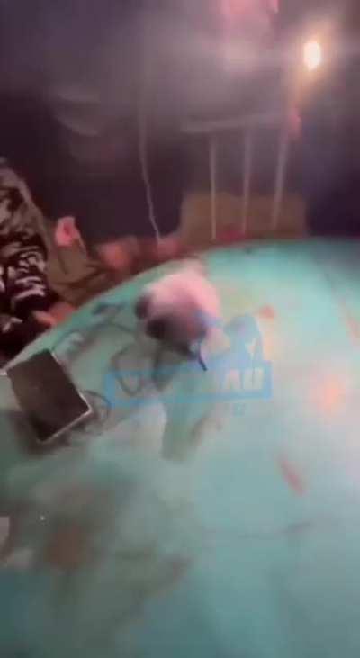 Russian drunk party entertainment