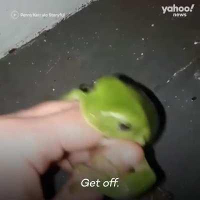 That frog goes deep!