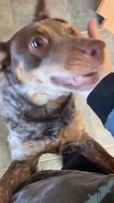 Gone for 1 hour and she could swear I’ve been gone for a week