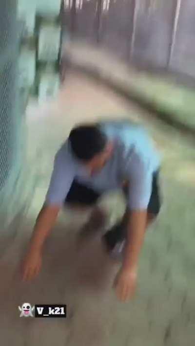 to try to take a picture with a tiger