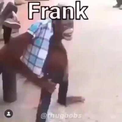 Frank?