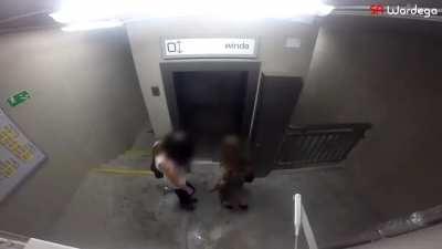 A dog in a spider costume frightened people!