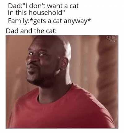 They do be vibing though