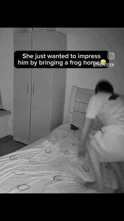 A little something for my hooman