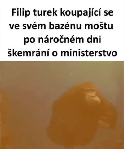 moštěníčko