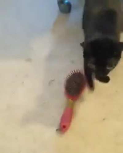 SHITTIN shittin POOPIN poopin