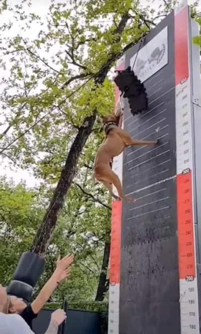 Did not see that coming...