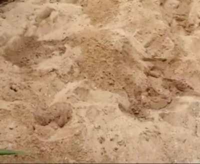 Gaara nóia kkkkkkkkkkk